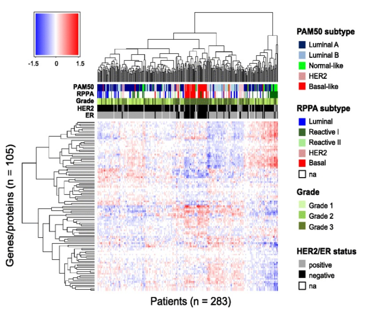 Figure 6. Patient-specific predicted effects of miRNA on protein. Rows represent the 105 genes/proteins and columns represent the 283 patients. The color bars under the dendrogram represent PAM50 and RPPA molecular subtypes (mRNA and protein based, respectively), histological grade, human epidermal growth factor receptor 2 (HER2) status, and estrogen receptor (ER) status. The colors in the heatmap represent the patient-specific effects of miRNA on protein and are numerical values obtained by multiplying each miRNA coefficient (from the multivariate analysis) with the corresponding miRNA expression, in a given patient, for a given protein. The clustering of the proteins and patients was performed using Euclidean distance and complete linkage. Na, not available.